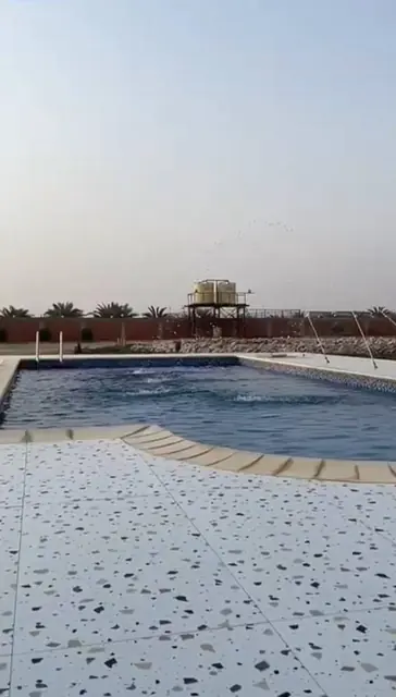 4 bedroom Farm For Rent in Abdali, Jahra, Kuwait - photo 3