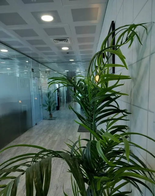 2 bedroom Shop/Office For Rent in Farwaniya, Farwaniya, Kuwait - photo 7