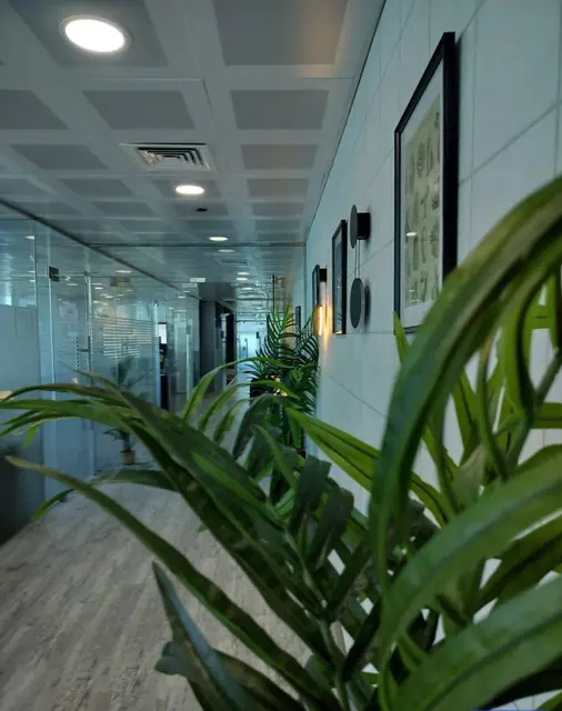 Shop/Office For Rent in Salmiya, Hawalli, Kuwait - photo 3