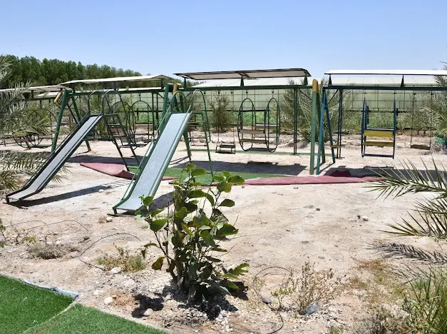 8 bedroom Farm For Rent in Abdali, Jahra, Kuwait - photo 7